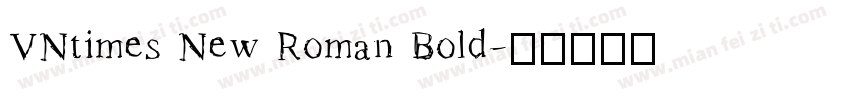 VNtimes New Roman Bold字体转换